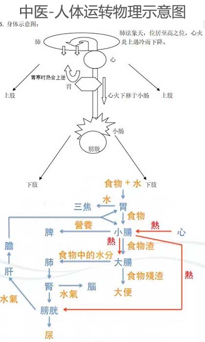 中医物理医学